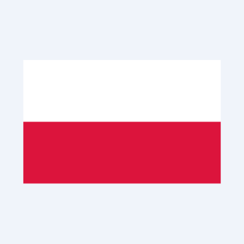 e-Zamówienia AI